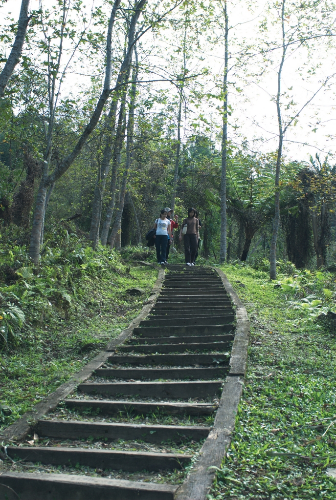 旅游景点 > 观光景点 > 台东县 > 鲤鱼山公园 >