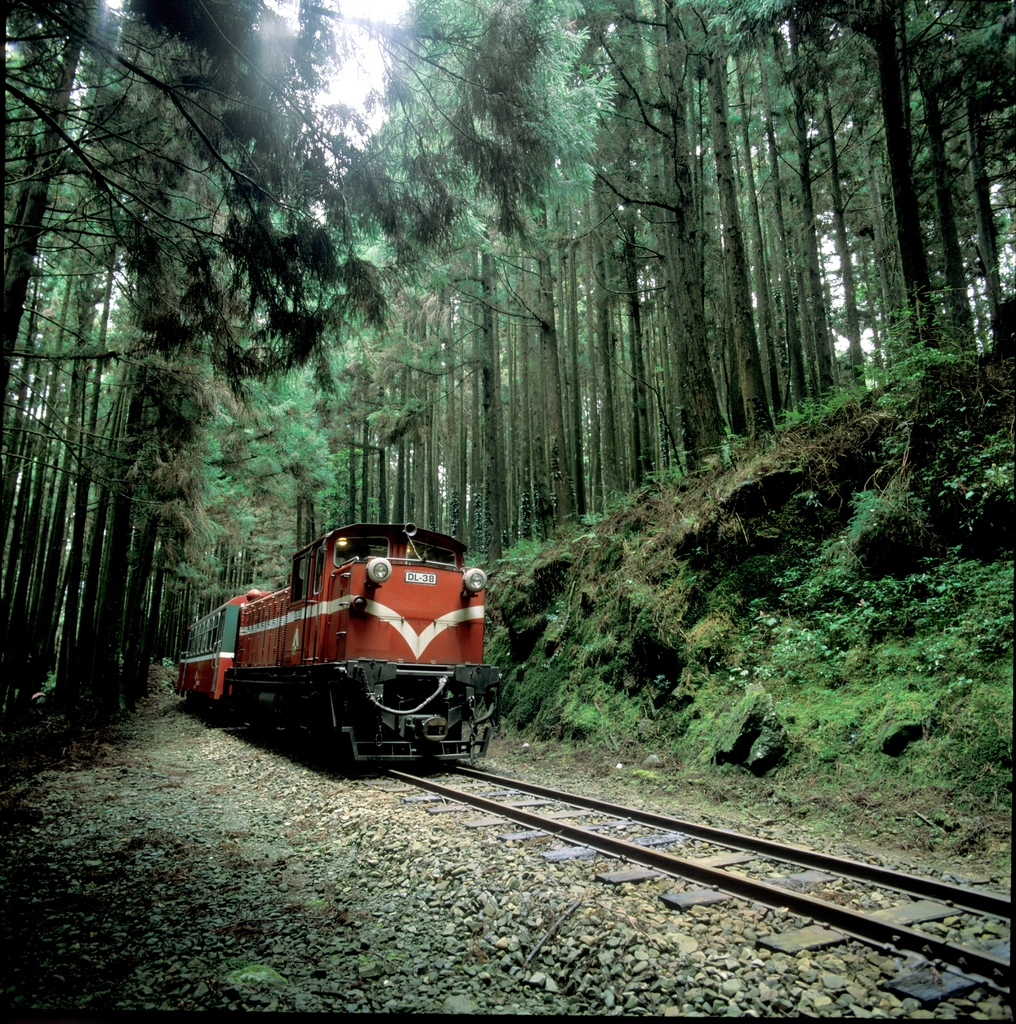 乐活之旅 民国前2(1899)年,日本人为转运木材而规划兴建阿里山铁路