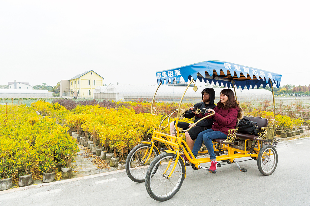 田尾公路花園騎自行車
