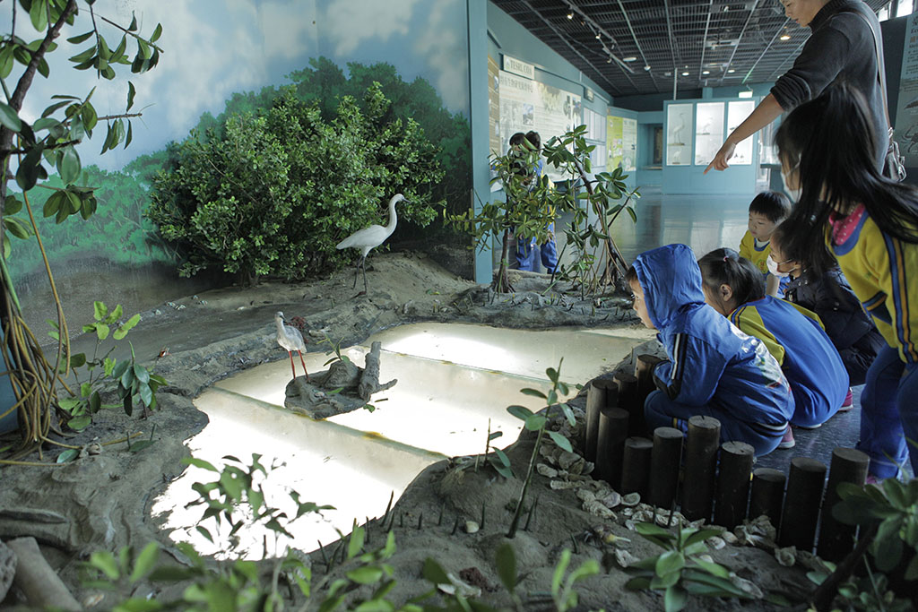 黑面琵鷺生態展示區