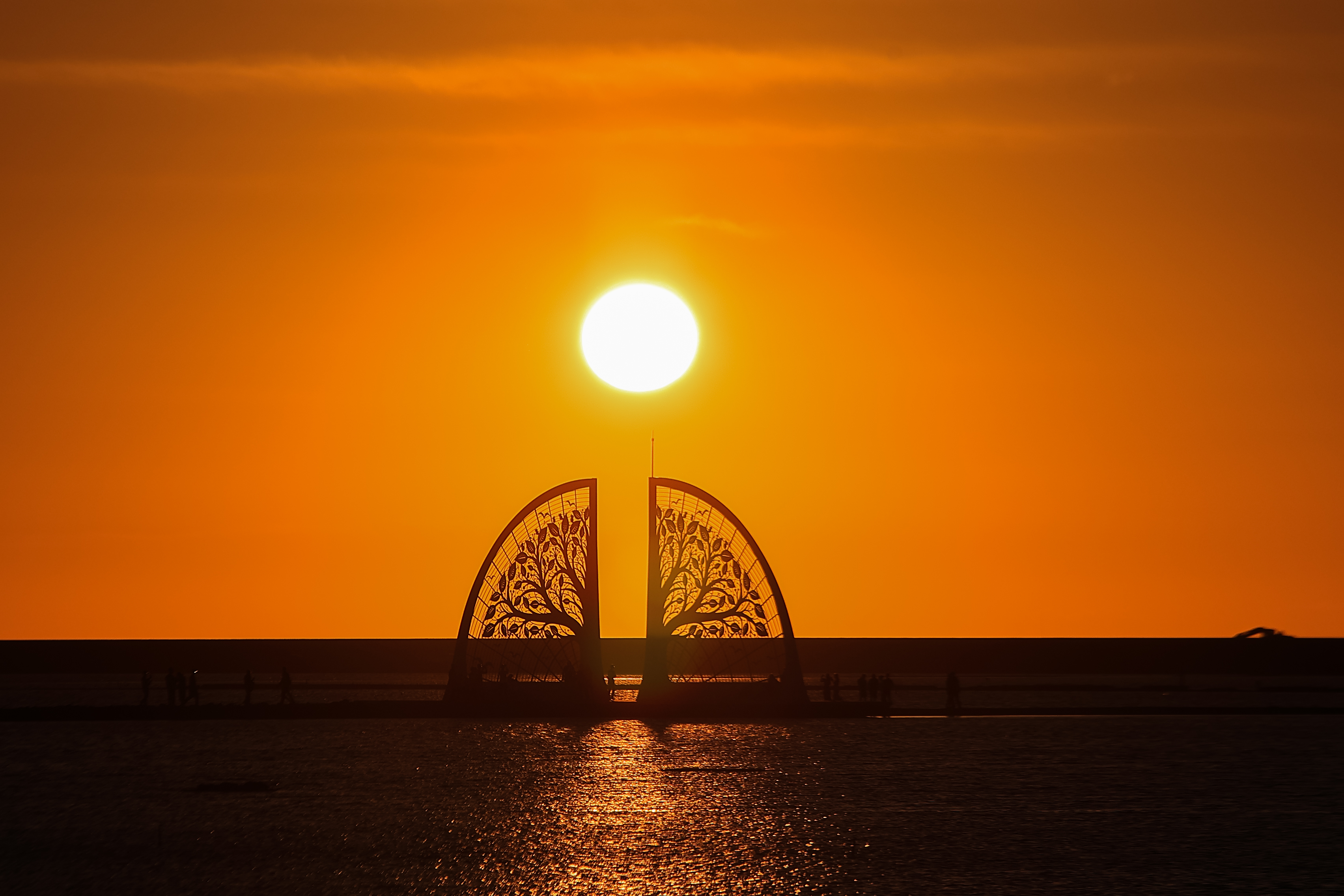 扇形鹽田(生命之樹) 夕陽