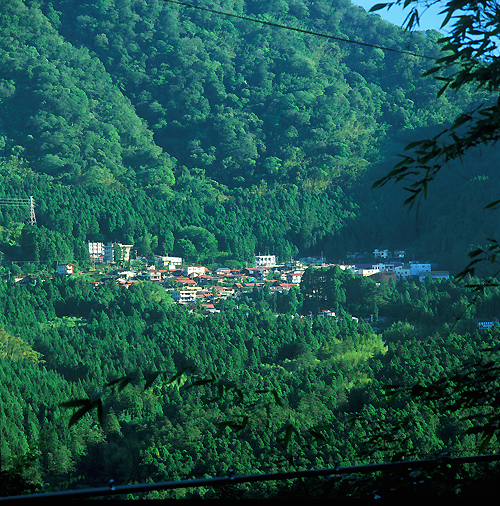 阿里山健行2日遊