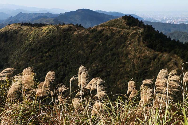 112年來臺旅客消費及動向調查出爐！ 消費力恢復疫前6成 韓國旅客購買力最強