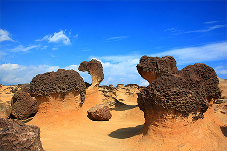 透過永續讓世界看見台灣，北觀處推廣永續旅遊，業者取得GTS認證