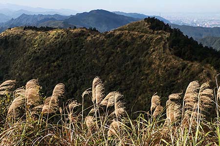 112年來臺旅客消費及動向調查出爐！ 消費力恢復疫前6成 韓國旅客購買力最強