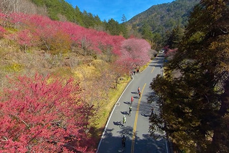 2021臺灣KOM自行車登山王挑戰-16條自行車多元路線，歡迎民眾也來體驗各種美景！